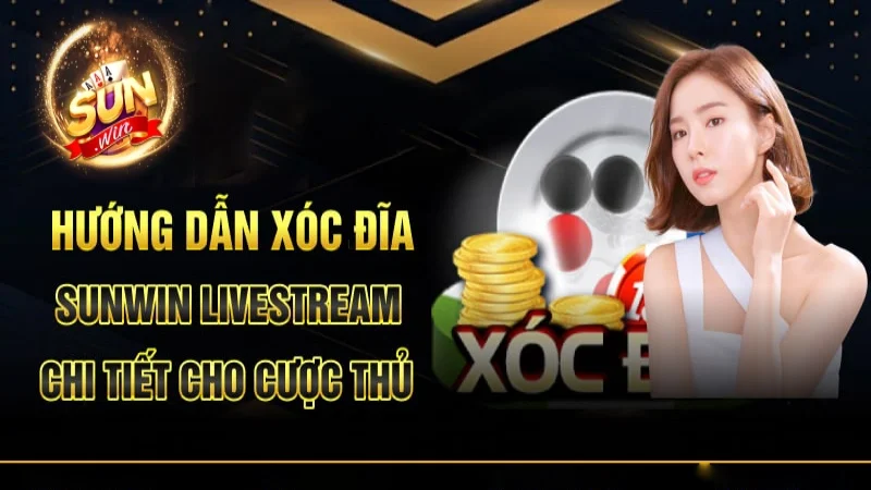 Cách đánh xóc đĩa Sunwin an toàn và hiệu quả nhất