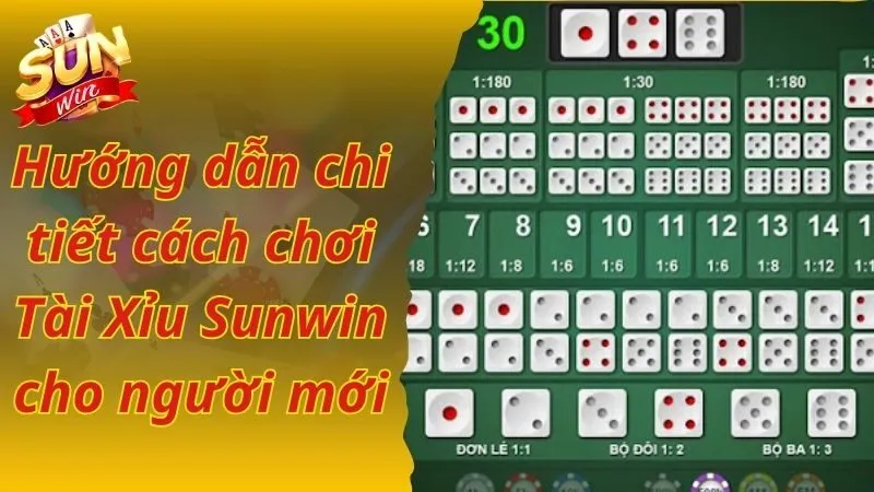 Hướng dẫn chi tiết cách chơi Tài Xỉu Sunwin cho người mới